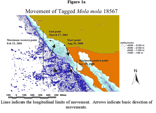 Figure 1a