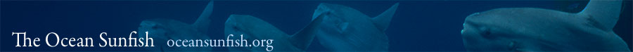 The Ocean Sunfish - oceansunfish.org
