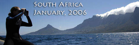 South Africa January 2006