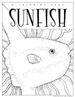 Ocean Sunfish K12 lessons
